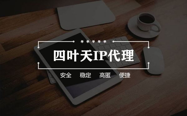 【临海代理IP】如何快速搭建代理IP？怎么检查代理的效果？